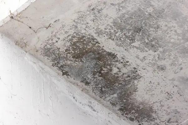 Roof Leak Repair Solutions That Last for Years