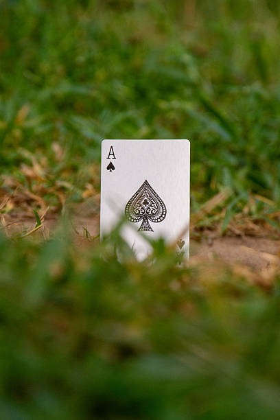 What Are the Best migliori casino non AAMS Available?