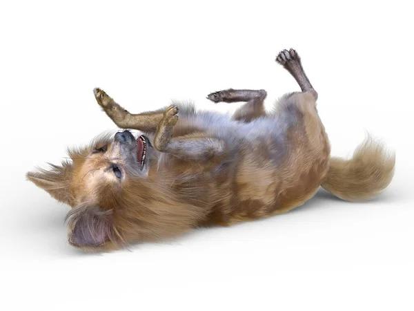 Understanding and Treating Your Dog’s Vomiting